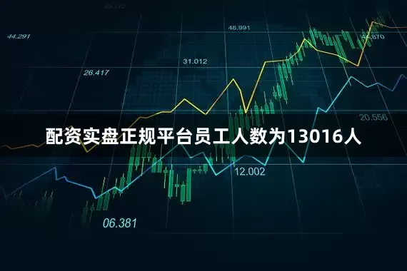 配资实盘正规平台员工人数为13016人