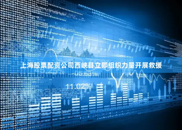 上海股票配资公司西峡县立即组织力量开展救援