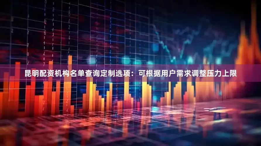 昆明配资机构名单查询定制选项：可根据用户需求调整压力上限