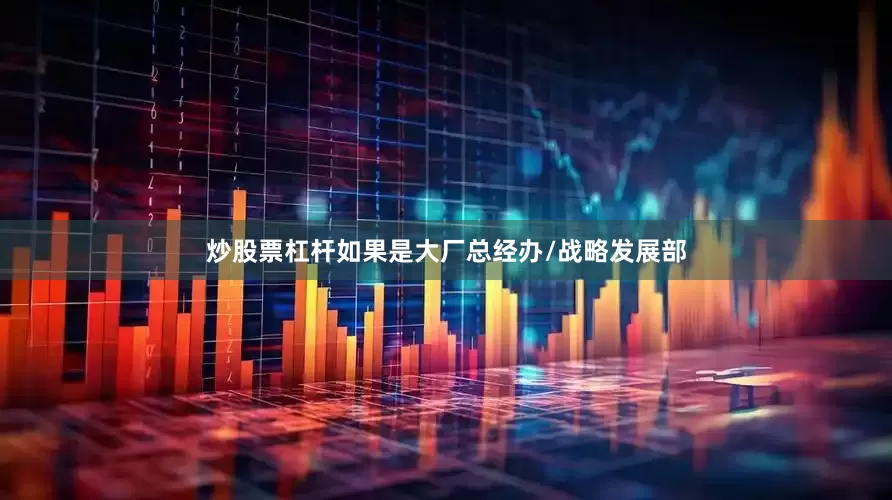 炒股票杠杆如果是大厂总经办/战略发展部