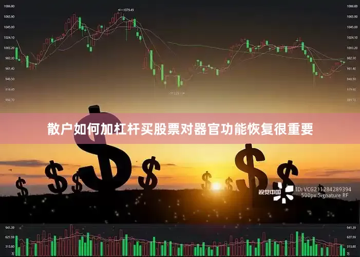 散户如何加杠杆买股票对器官功能恢复很重要