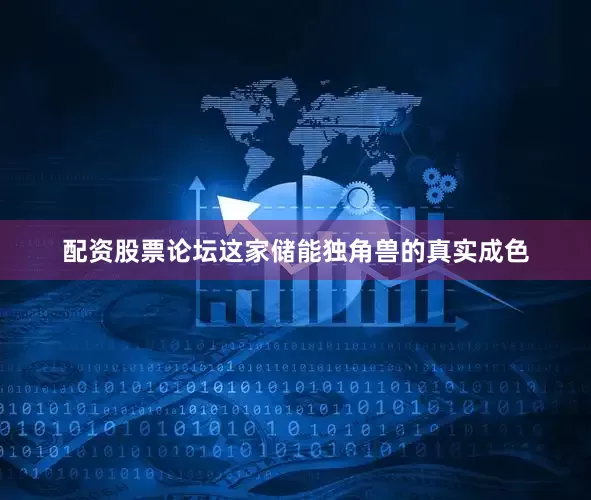 配资股票论坛这家储能独角兽的真实成色