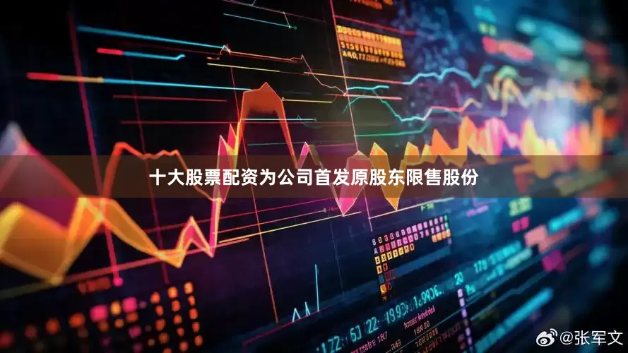 十大股票配资为公司首发原股东限售股份