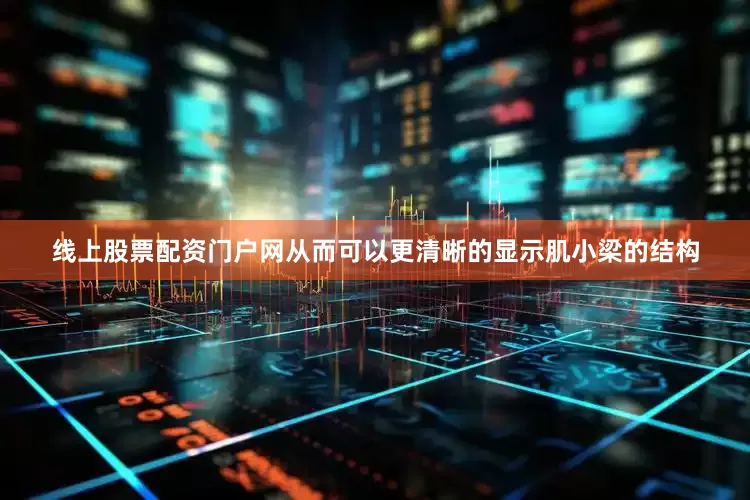 线上股票配资门户网从而可以更清晰的显示肌小梁的结构