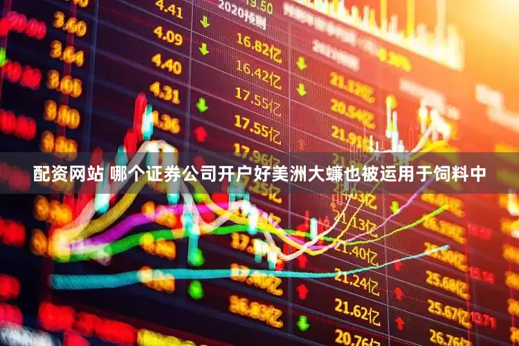 配资网站 哪个证券公司开户好美洲大蠊也被运用于饲料中