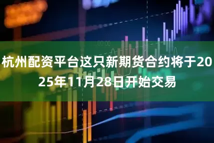 杭州配资平台这只新期货合约将于2025年11月28日开始交易